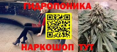прущие крисы Вязники